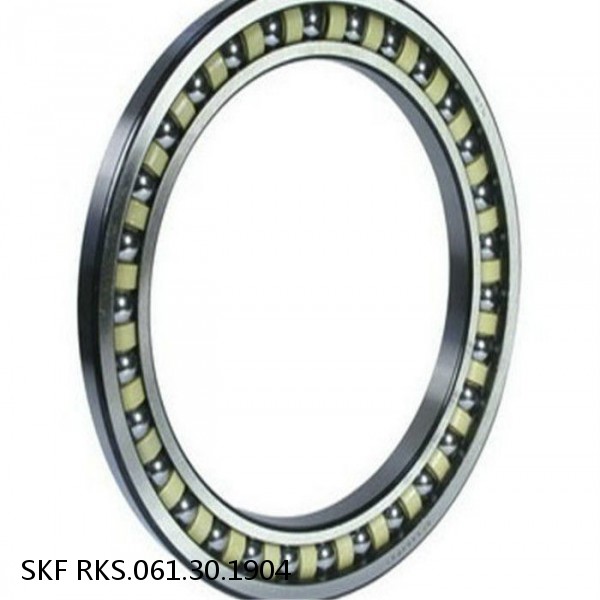 RKS.061.30.1904 SKF Slewing Ring Bearings