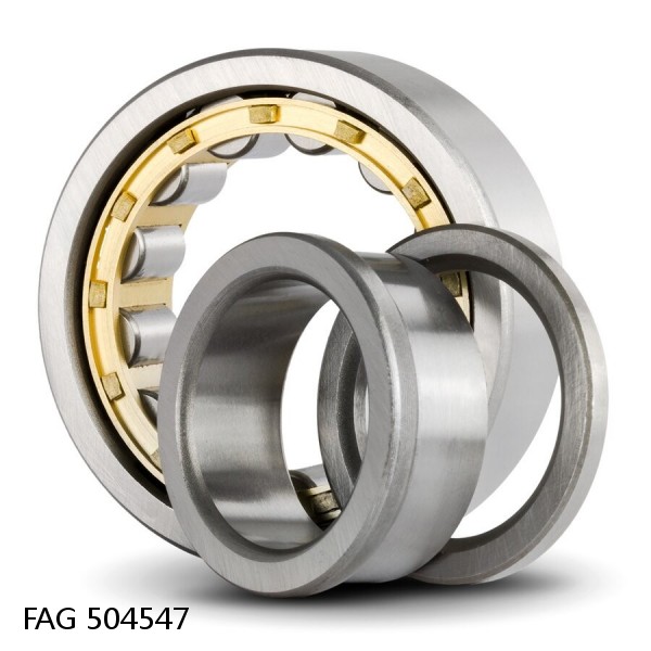 504547 FAG Cylindrical Roller Bearings