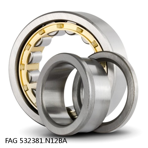 532381.N12BA FAG Cylindrical Roller Bearings