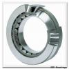 152,4 mm x 244,475 mm x 50,005 mm  NSK 81600/81962 cylindrical roller bearings #1 small image