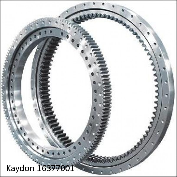 16377001 Kaydon Slewing Ring Bearings #1 small image