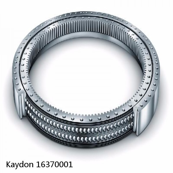 16370001 Kaydon Slewing Ring Bearings #1 small image