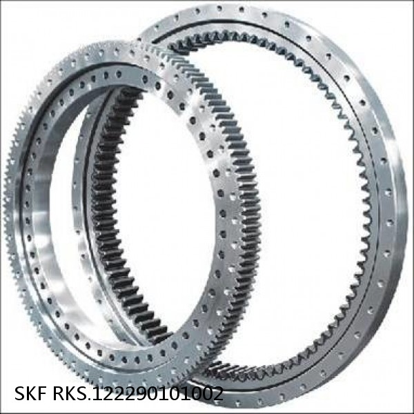 RKS.122290101002 SKF Slewing Ring Bearings #1 small image