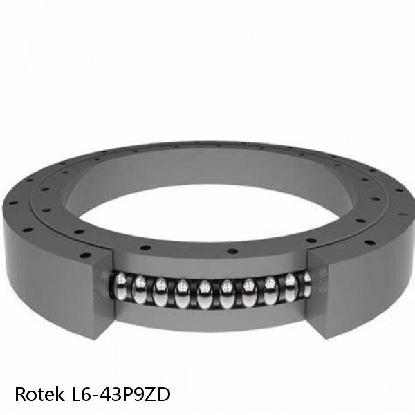 L6-43P9ZD Rotek Slewing Ring Bearings