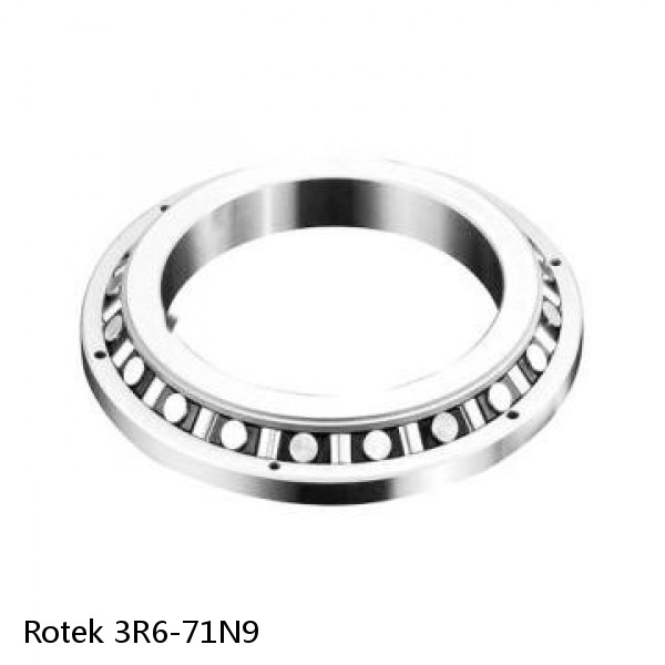 3R6-71N9 Rotek Slewing Ring Bearings