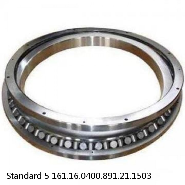 161.16.0400.891.21.1503 Standard 5 Slewing Ring Bearings #1 small image