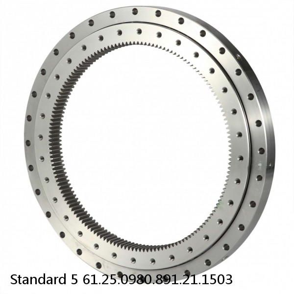 61.25.0980.891.21.1503 Standard 5 Slewing Ring Bearings