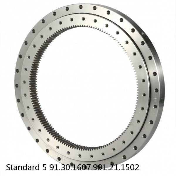 91.30.1607.991.21.1502 Standard 5 Slewing Ring Bearings #1 small image