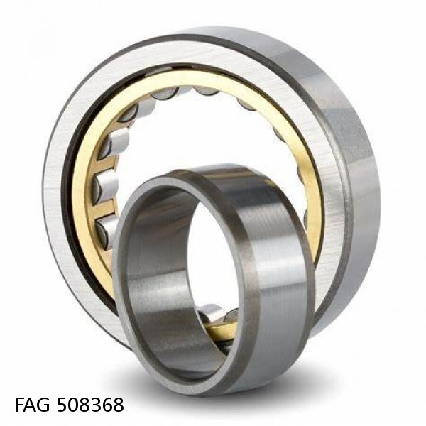 508368 FAG Cylindrical Roller Bearings #1 small image