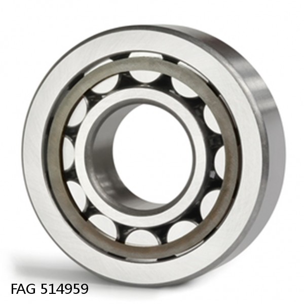 514959 FAG Cylindrical Roller Bearings #1 small image