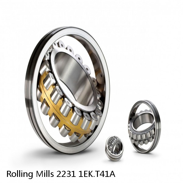 2231 1EK.T41A Rolling Mills Spherical roller bearings #1 small image