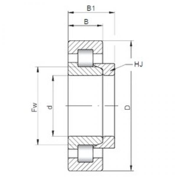 30 mm x 62 mm x 20 mm  ISO NH2206 cylindrical roller bearings #2 image