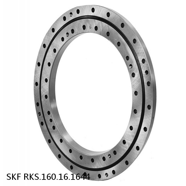 RKS.160.16.1644 SKF Slewing Ring Bearings #1 image