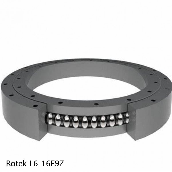 L6-16E9Z Rotek Slewing Ring Bearings #1 image