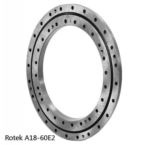 A18-60E2 Rotek Slewing Ring Bearings #1 image