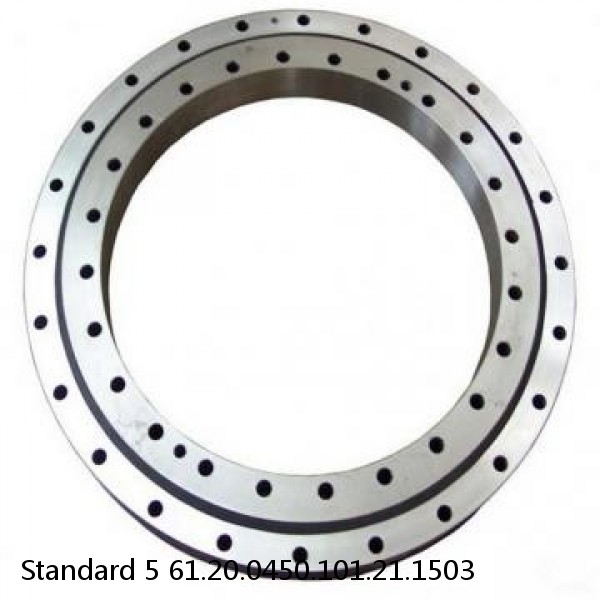 61.20.0450.101.21.1503 Standard 5 Slewing Ring Bearings #1 image