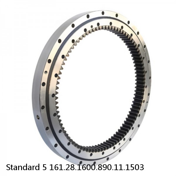 161.28.1600.890.11.1503 Standard 5 Slewing Ring Bearings #1 image