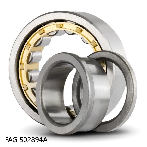 502894A FAG Cylindrical Roller Bearings #1 image