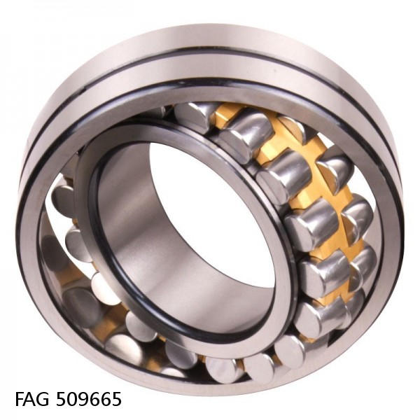 509665 FAG Cylindrical Roller Bearings #1 image