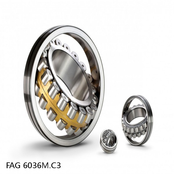 6036M.C3 FAG Deep Groove Ball Bearings #1 image